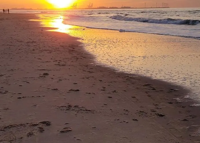 캠프장 Kustchalet